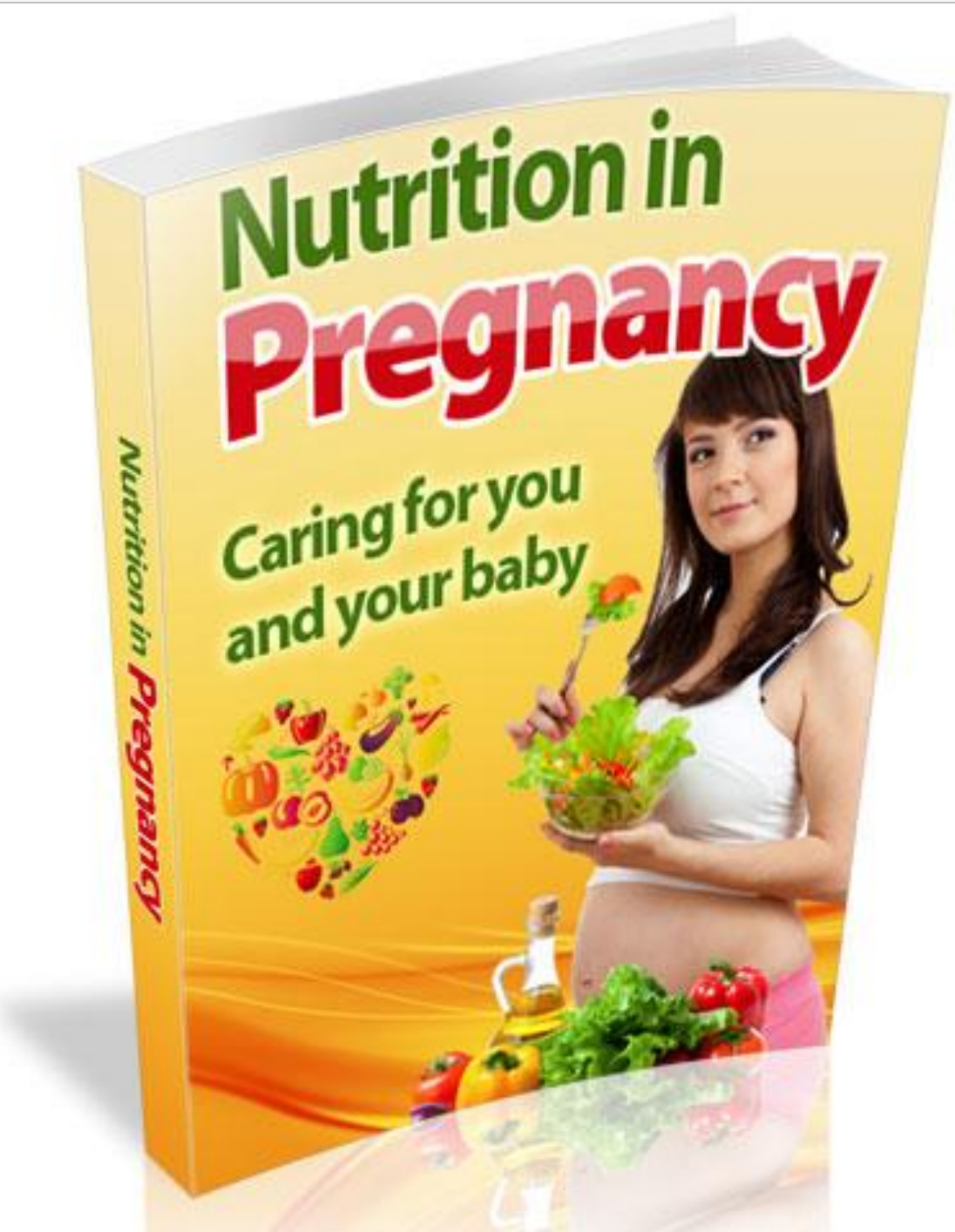 Nutrition In Pregnancy Junky Books