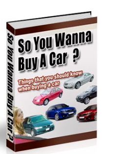 So You Wanna Buy A Car ?