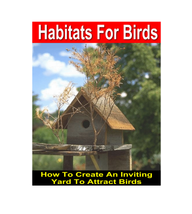 Habitats For Birds. How To Creating An Inviting Yard To Attract Birds