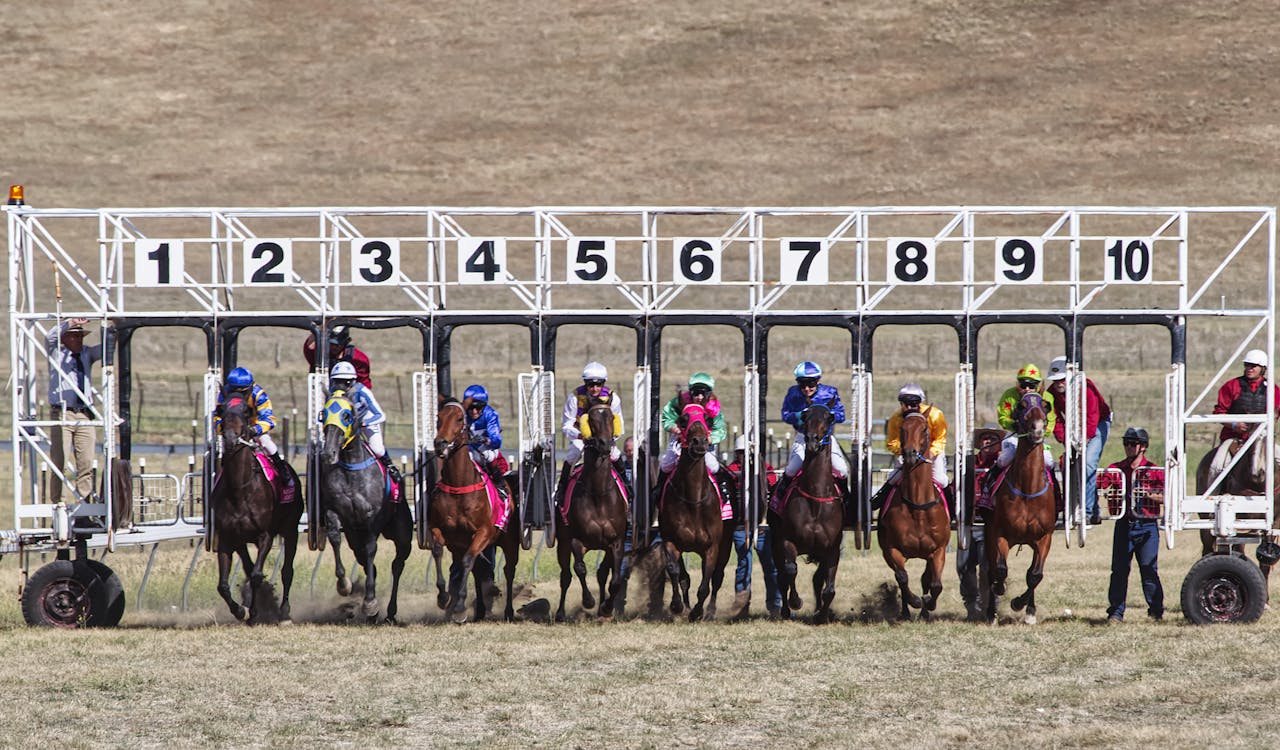 Inspirational Books About Horse Racing